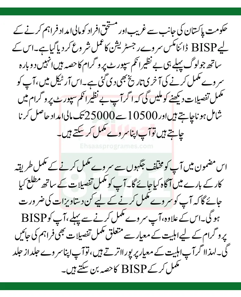 BISP Dynamic Survey 25000