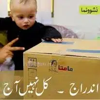 بے نظیرنشوونما پروگرام