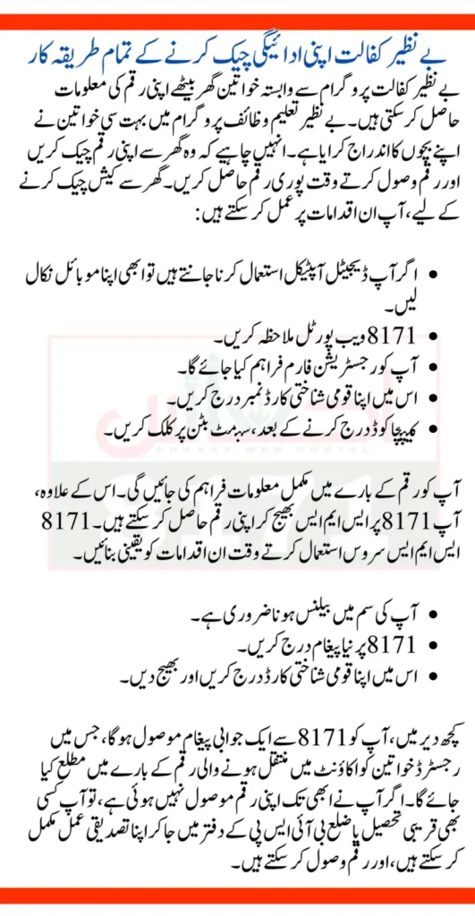 Benazir Kafaalat Payments Check Via 8171 SMS