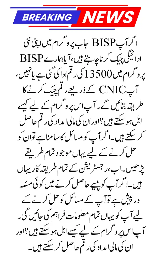 BISP Application Form Check by CNIC Latest Update 2025