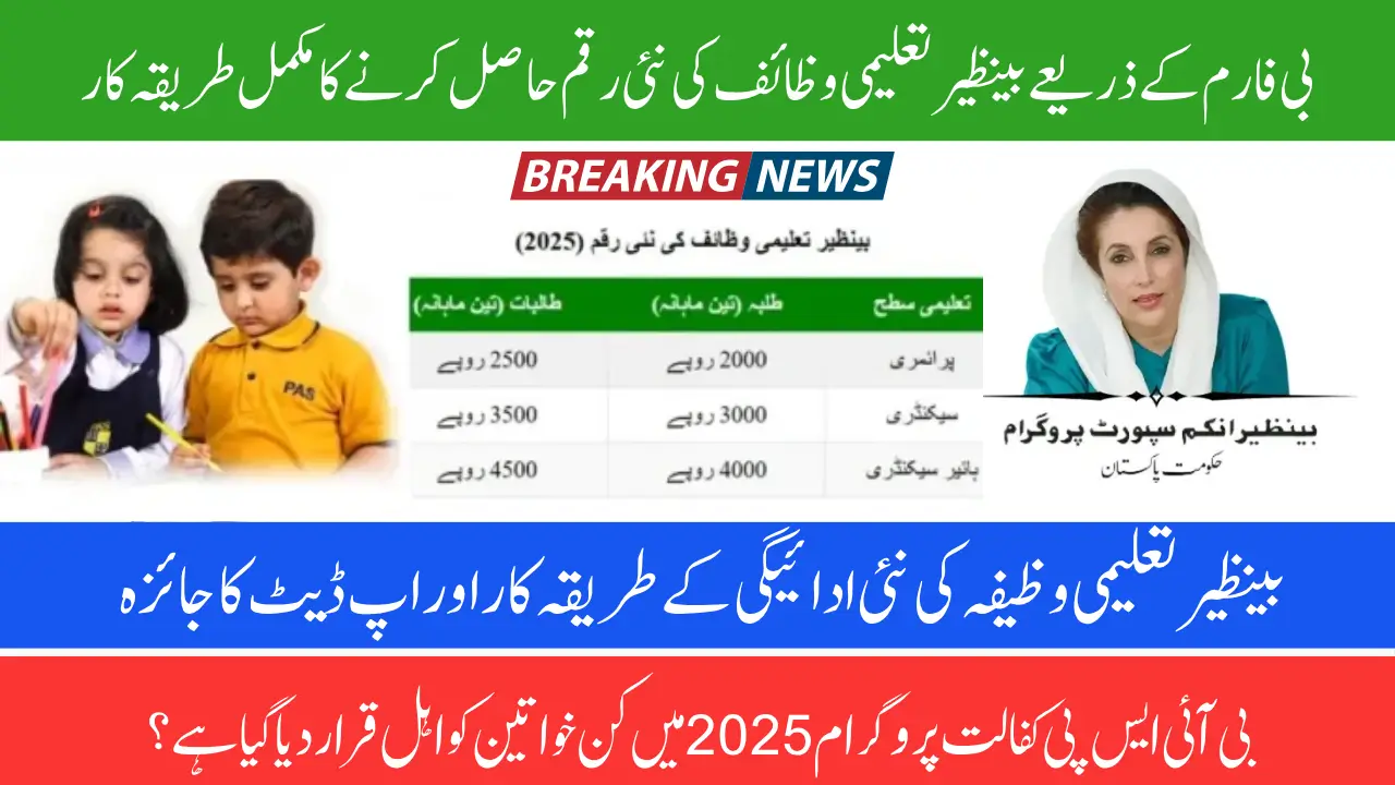 Benazir Taleemi Wazaif New Method Payment Verification By B-Form