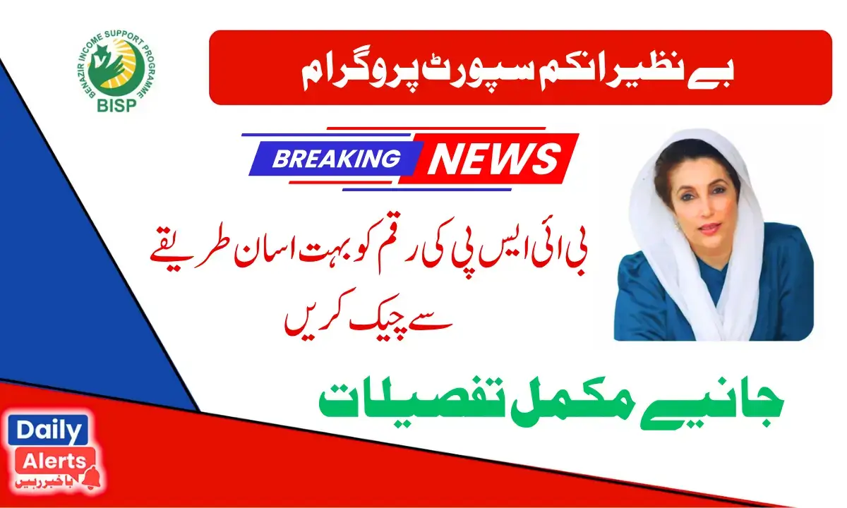 Ehsaas 8171 SMS Registration By Government Of Pakistan 2025