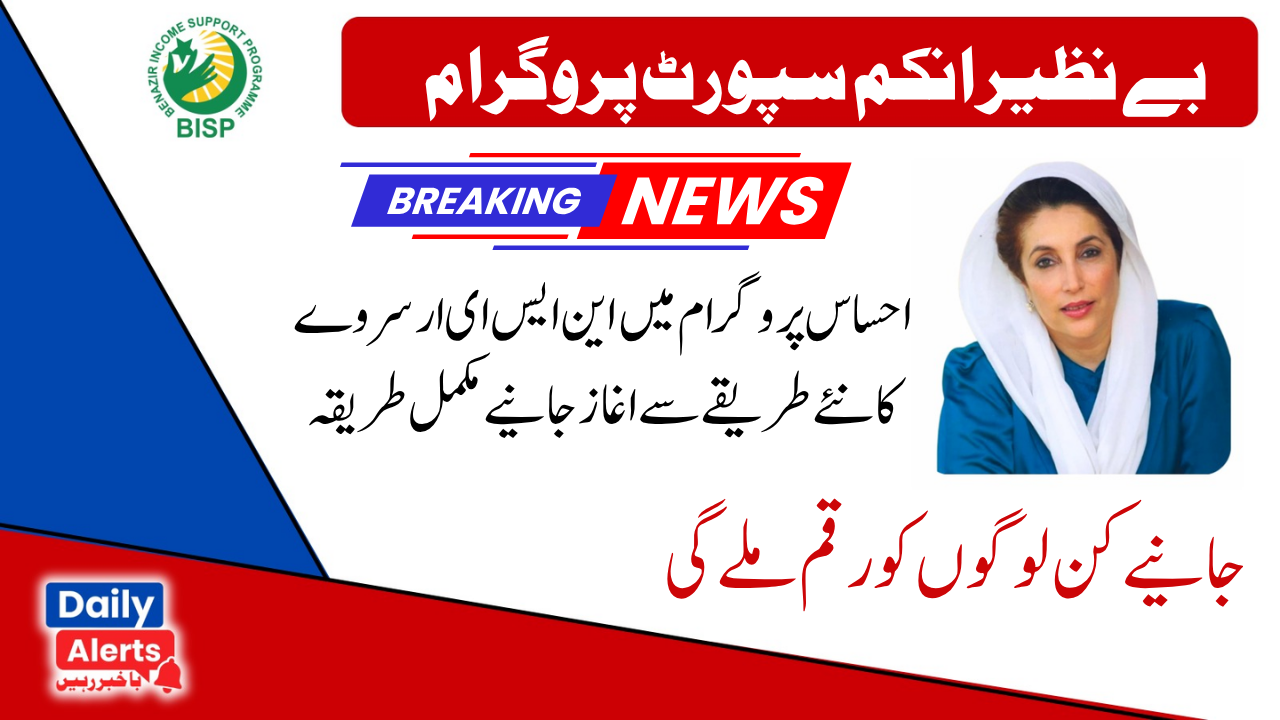 NSER | 8171 سروے آن لائن رجسٹریشن چیک | New Registration