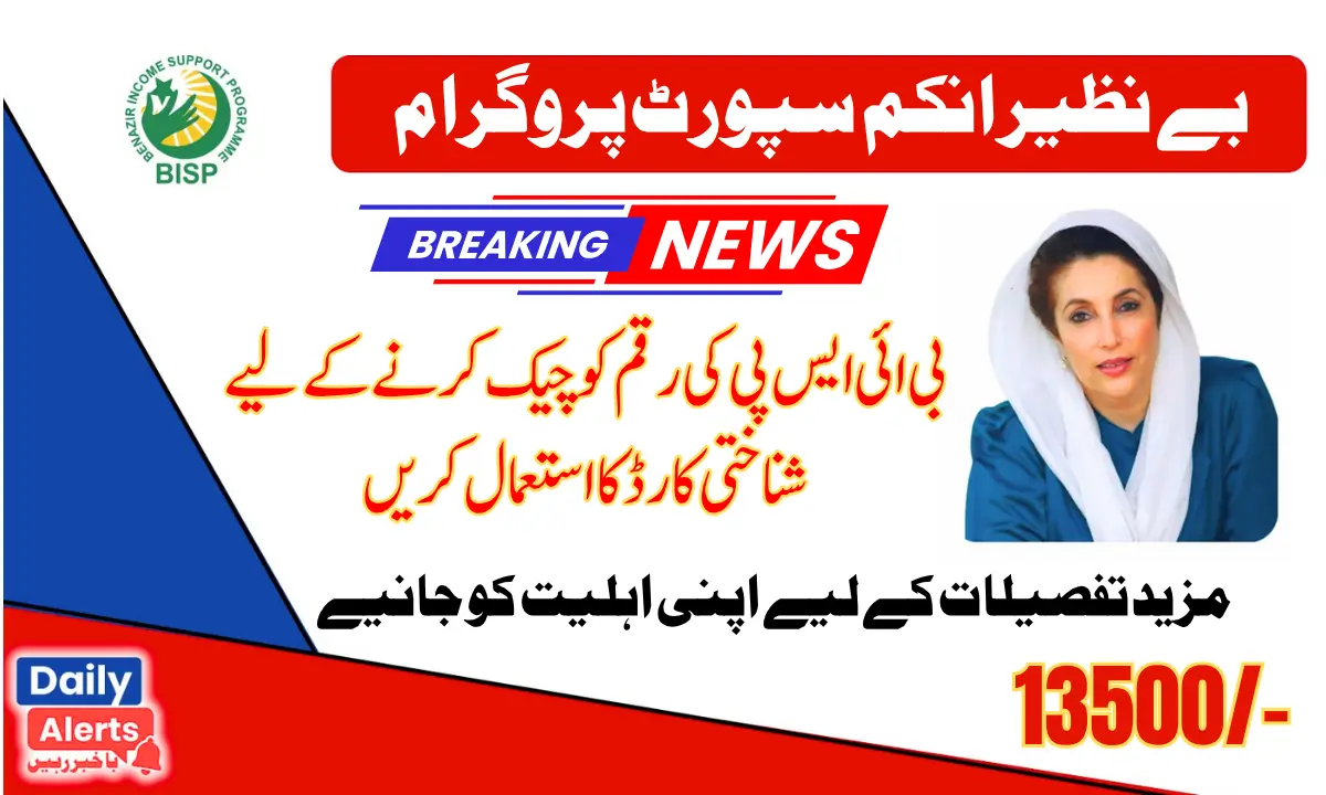 BISP 8171 Online Portal Check Result Check By CNIC 2025
