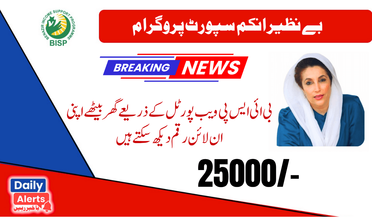 احساس 8171 ویب پورٹل آن لائن | Check 8171 Ehsaas Program 25000 BISP