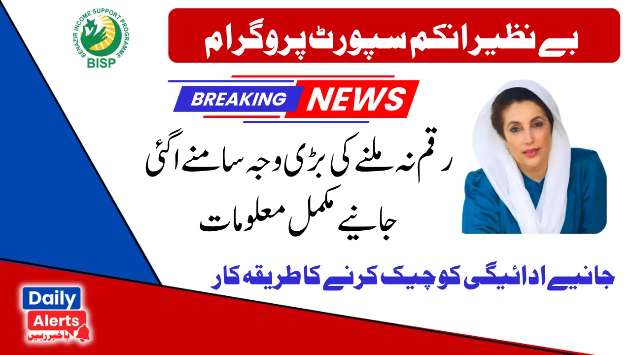 احساس پروگرام 8171 | احساس پروگرام 8171 پیسے چیک کرنے کا طریقہ 2025