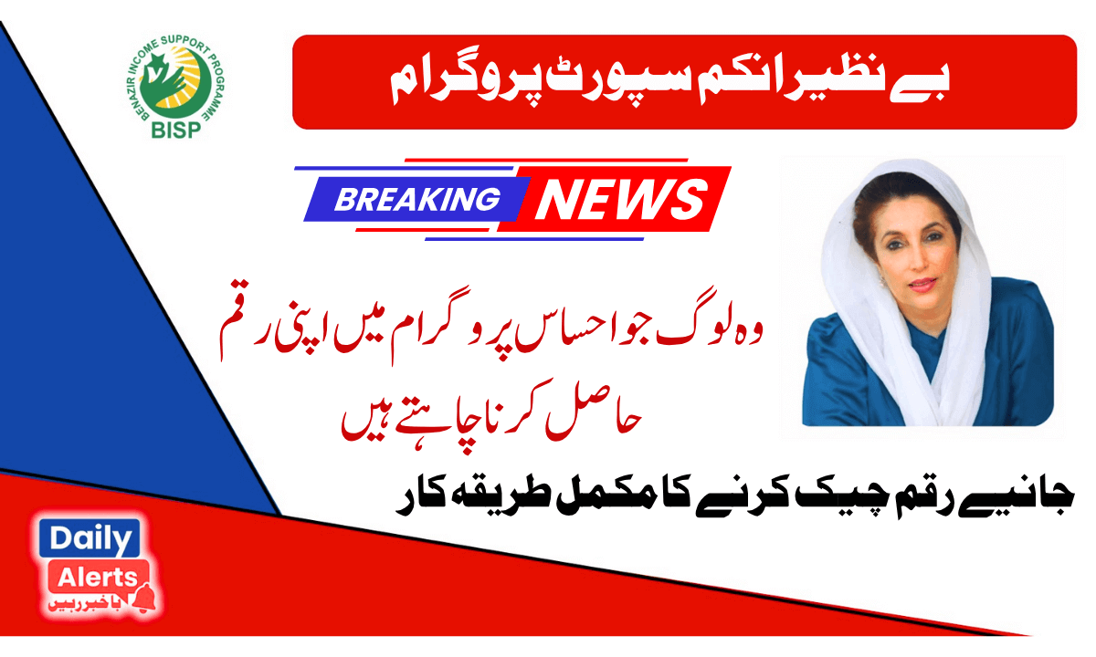 اکاؤنٹ میں پیسے چیک کرنے کا طریقہ | ویب پورٹل فارم 8171 | احساس پروگرام