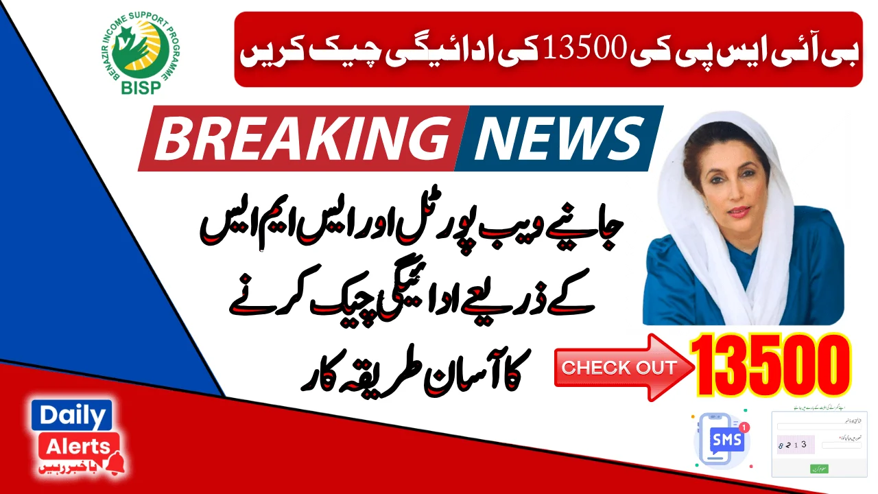 Check Your BISP 8171 CNIC Eligibility For 13500 Payment In 2025 – Complete Portal Guide