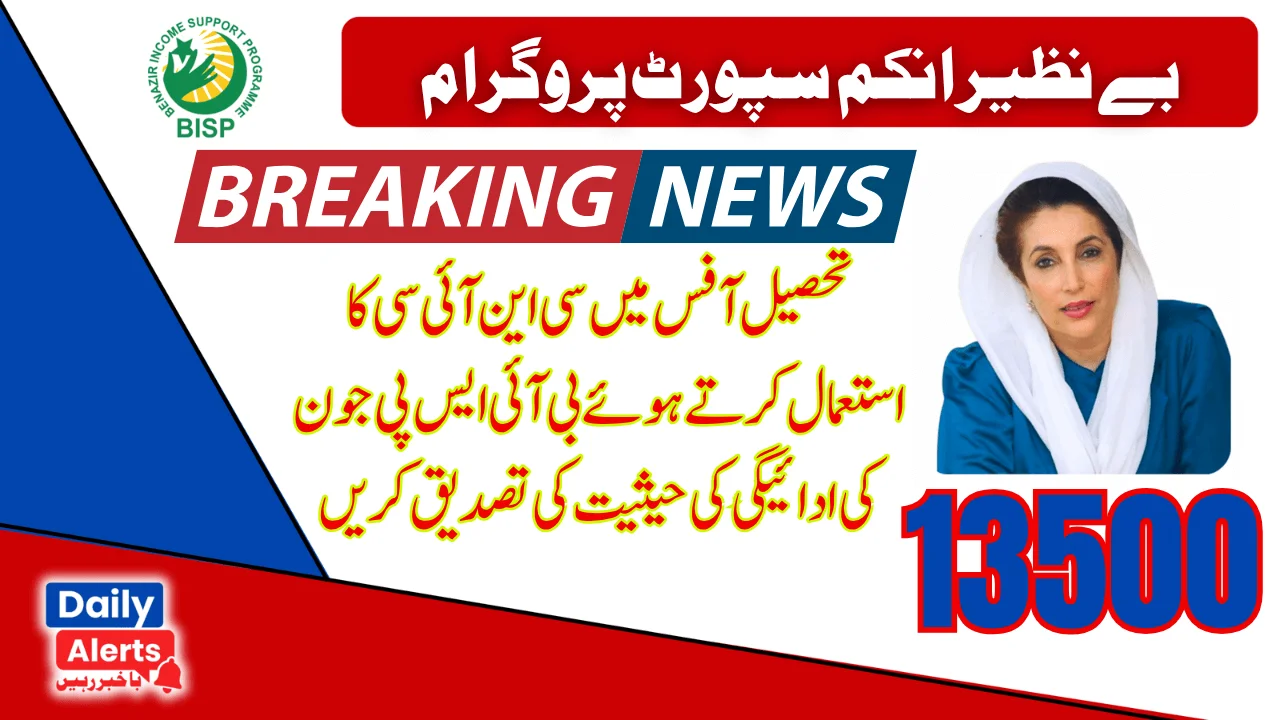 Verify BISP 8171 June 2025 Payment Status Using CNIC At Tehsil Office