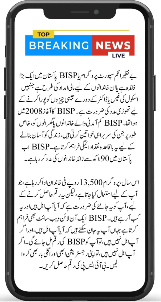 How To Check Your BISP July 2025 Payment Status Online Application Tracking Portal Like A Pro!