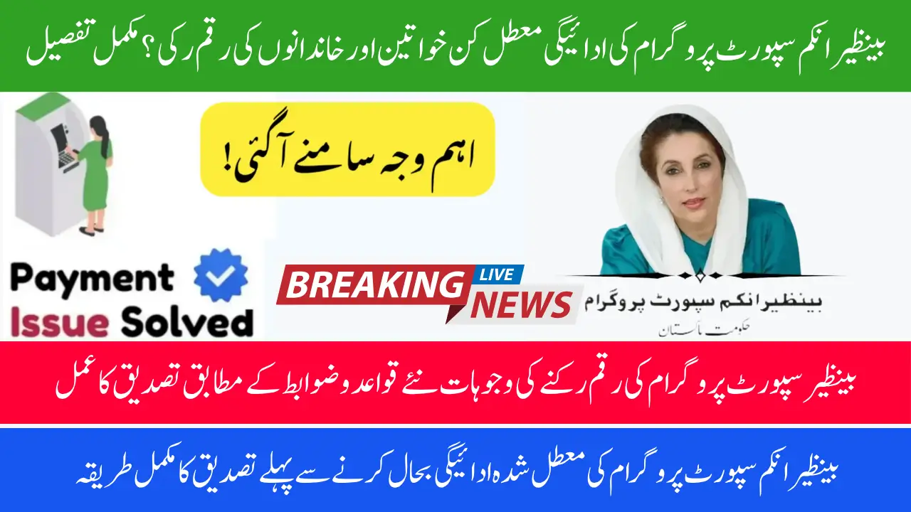 BISP 8171 Payment Suspended 2025 for Many Beneficiaries