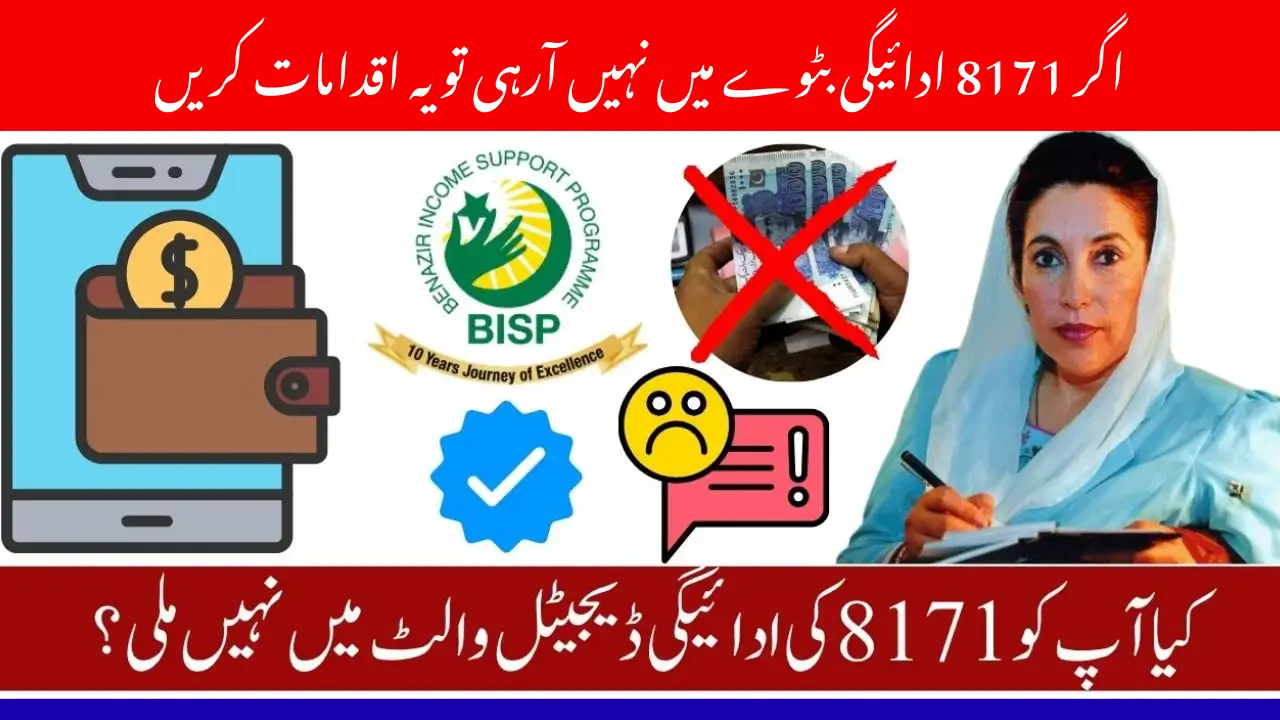 8171 Wallet Payment Not Showing Complete Fix Guide