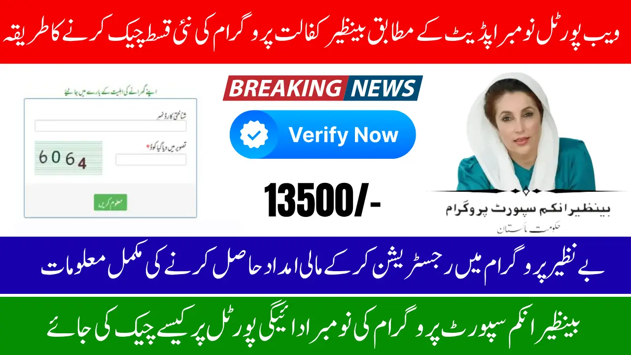 8171 Web Portal November 2025 Update Check Your BISP Payment & CNIC Status Online Now!