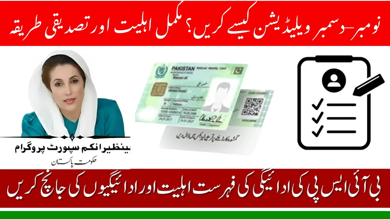 BISP November–December Validation 2025 – Complete Eligibility & Verification Guide