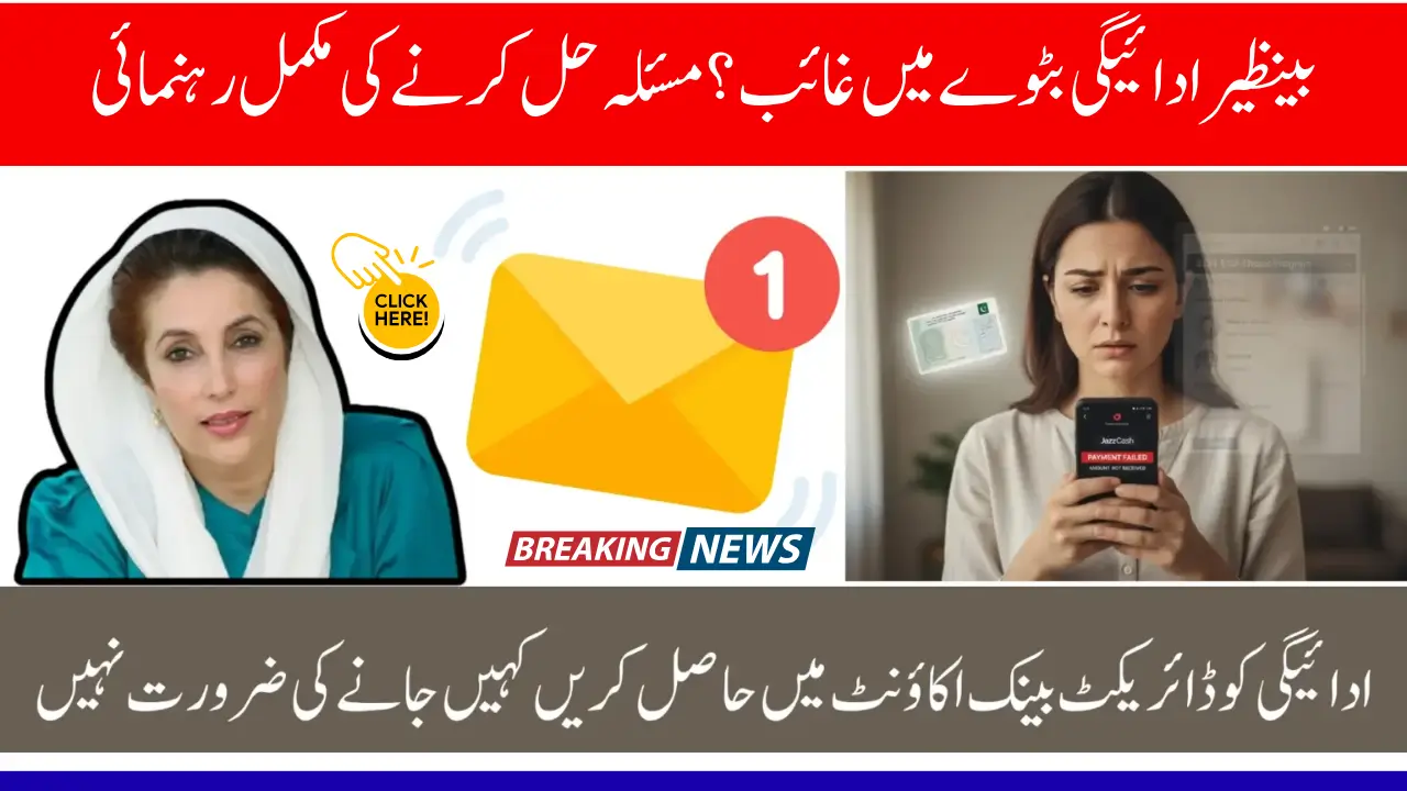 BISP Payment Missing in Wallet? Complete Guide to Fix the Issue Fast