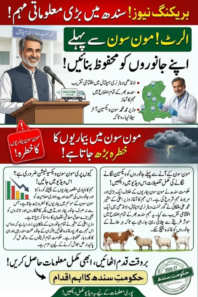 Sindh Livestock Vaccination Campaign 2026 Launched Before Monsoon Season